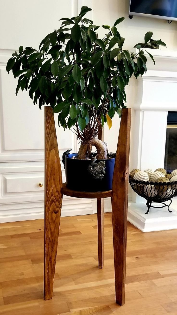 Create & Style: 21 DIY Plant Stands to Upgrade Your Indoor Plants Decor